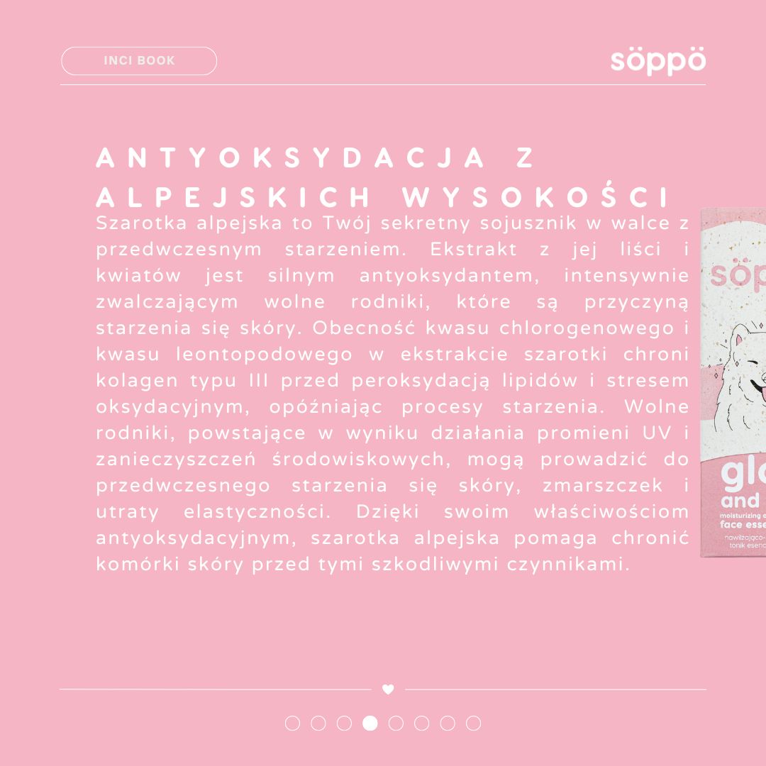 antyoksydacyjne właściwości szarotki alpejskiej