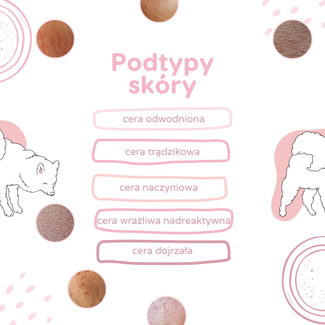 podtypy skóry